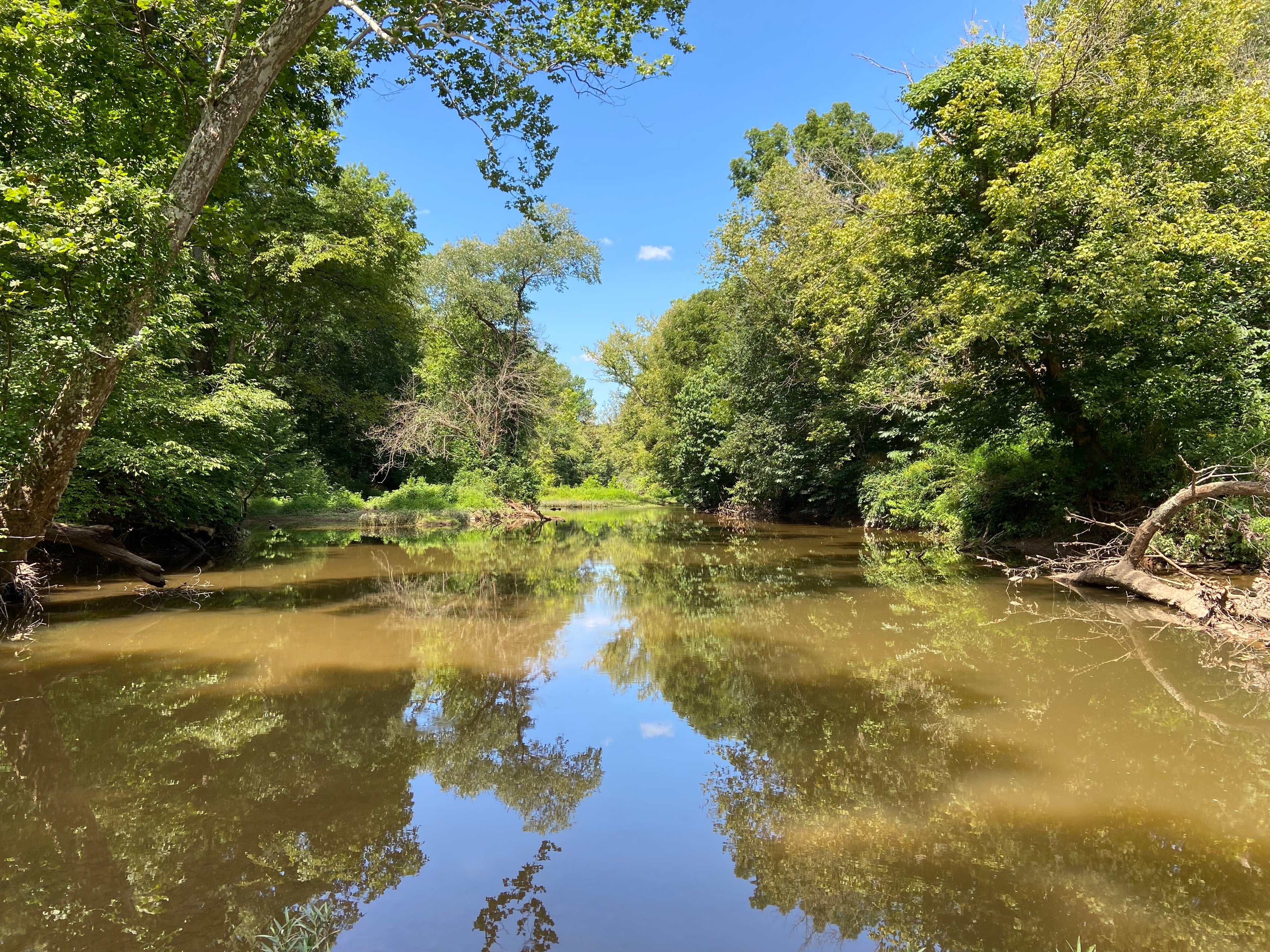 Energy & Ritual Apothecary
