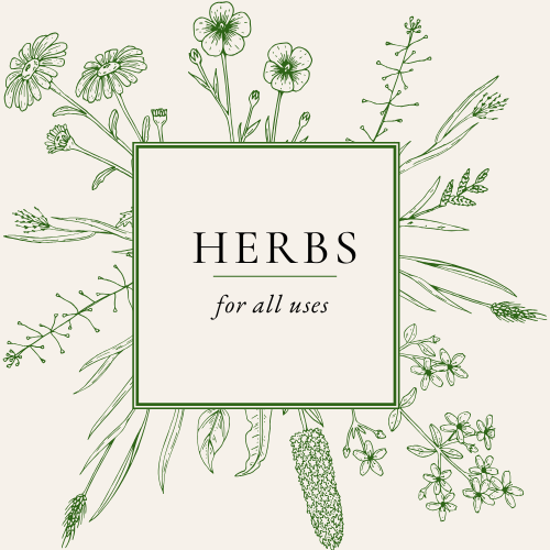 Green Heart Grrl Single Herbs