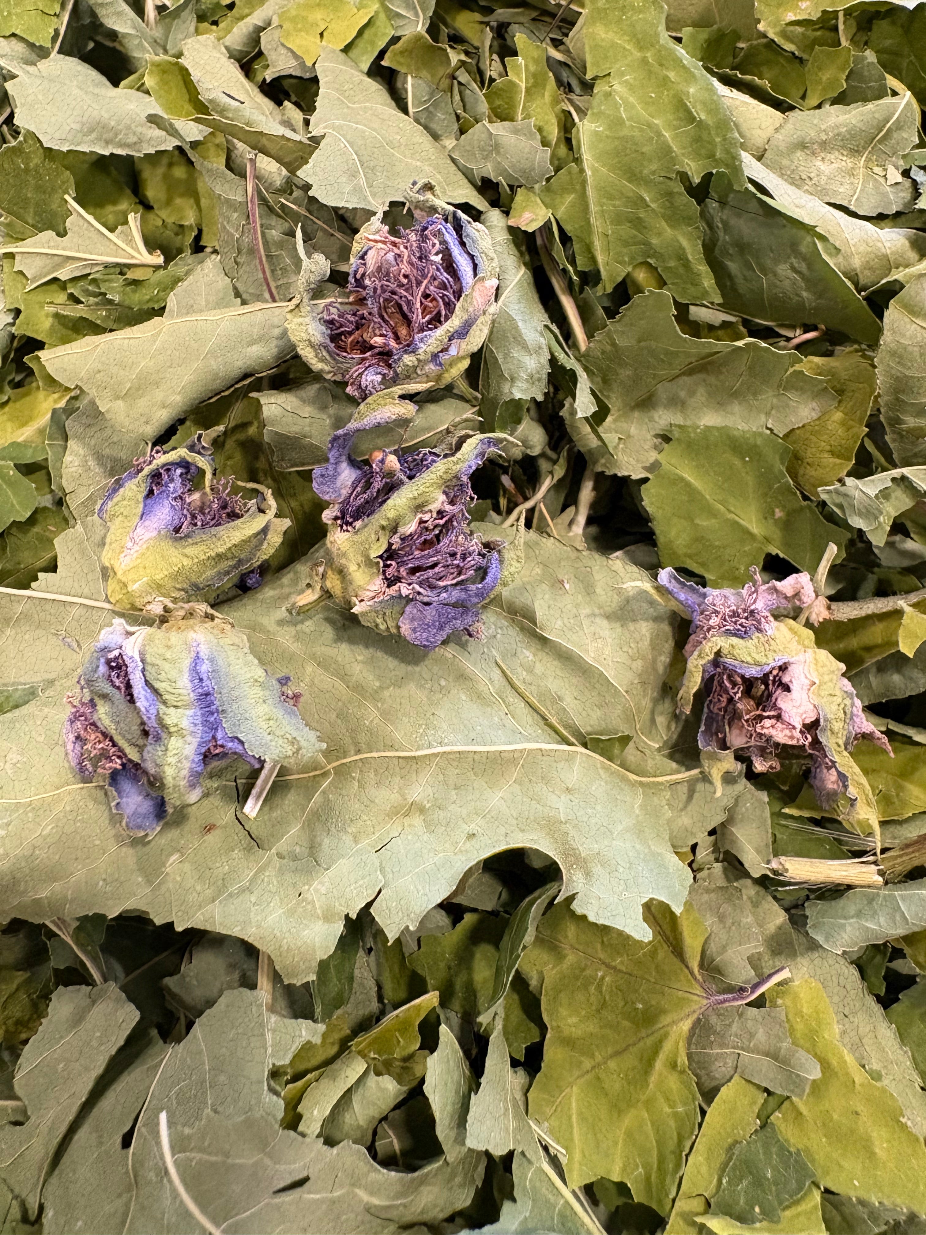 Green Heart Grrl Single Herbs