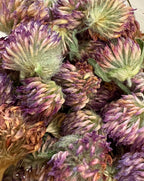 Green Heart Grrl Single Herbs