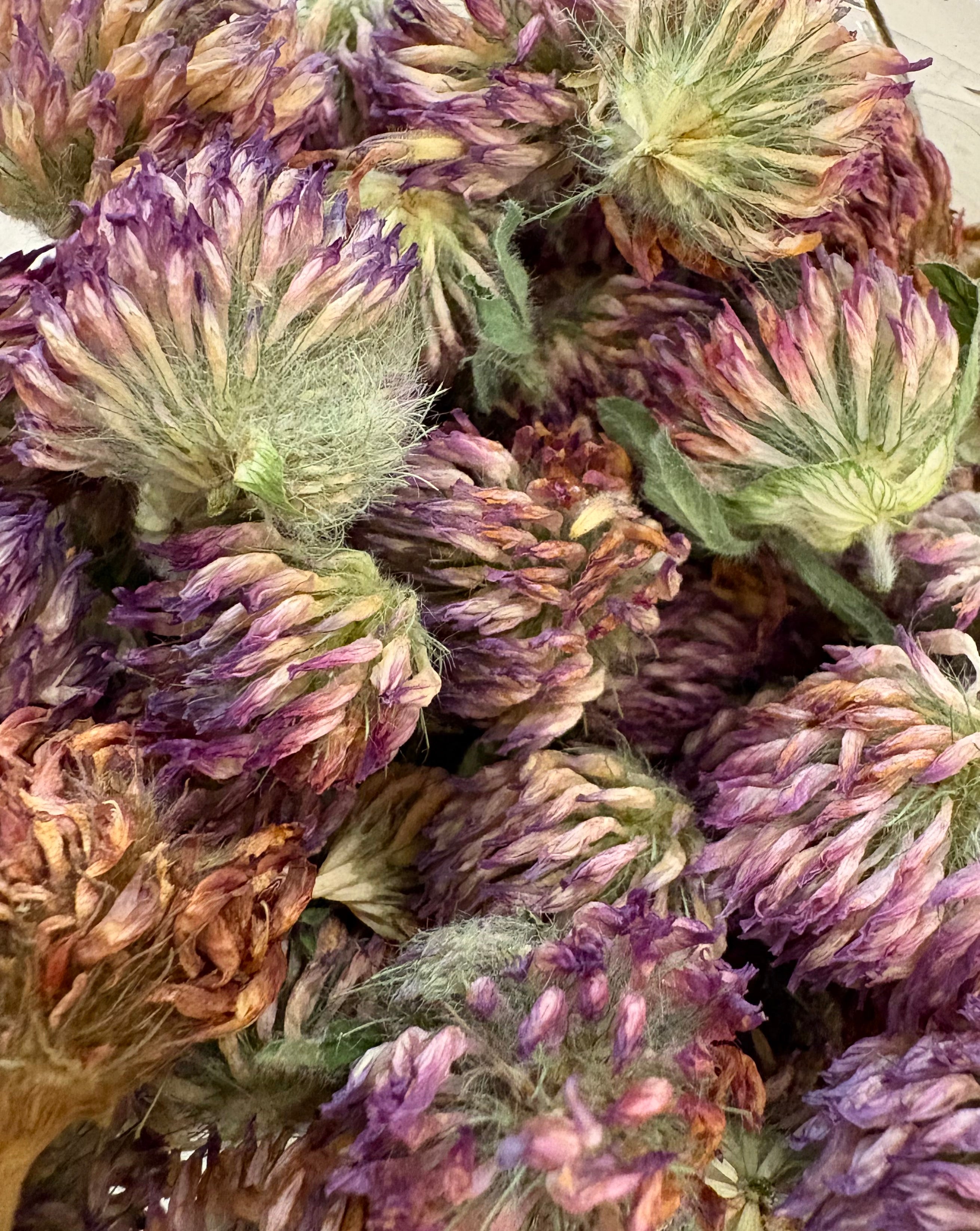 Green Heart Grrl Single Herbs